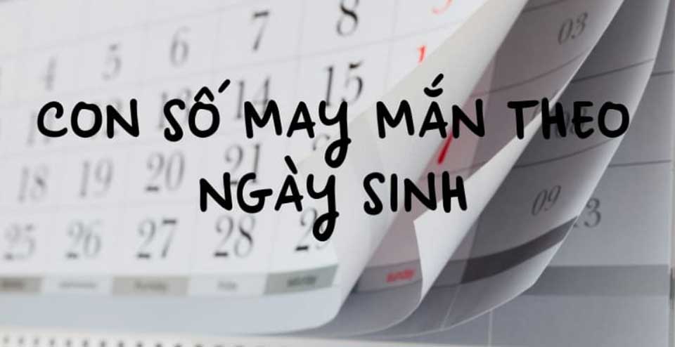 Những con số may mắn - 06