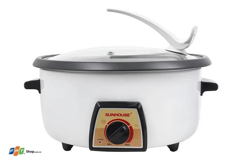 nồi lẩu điện gi&aacute; rẻ nhất 2026 1