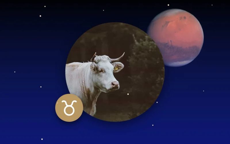 Tính cách của Sao Hỏa Kim Ngưu