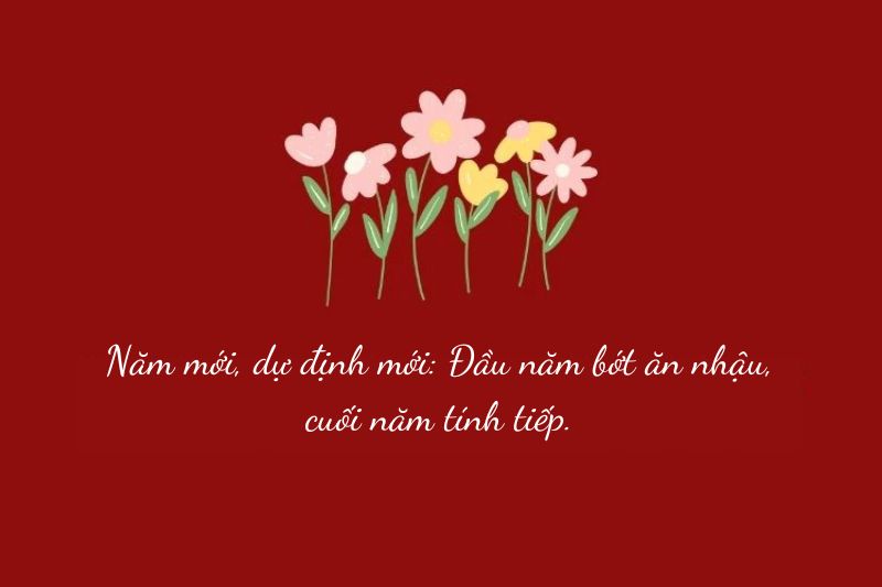 STT Tết Dương lịch 2025 hài hước ảnh 3