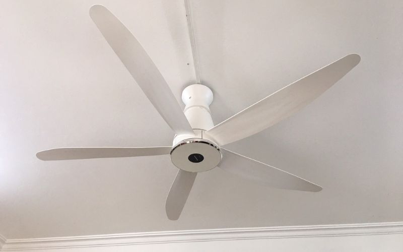Quạt trần - thiết bị gia dụng được dùng đến vào mỗi ngày