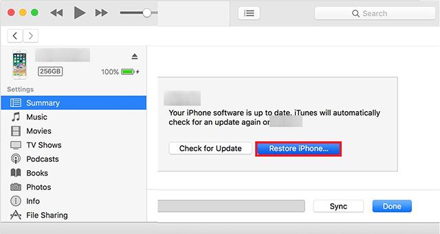 cách cài đặt lại iPhone bằng iTunes - Hình 7