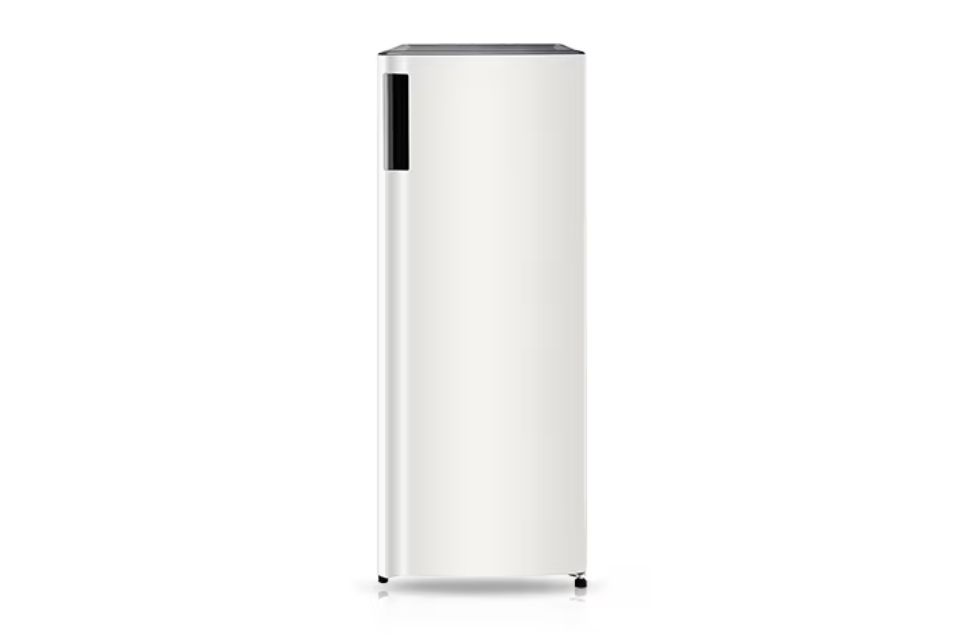 tu-lanh-lg-inverter-195-lit-lob16bgm-4.jpg
