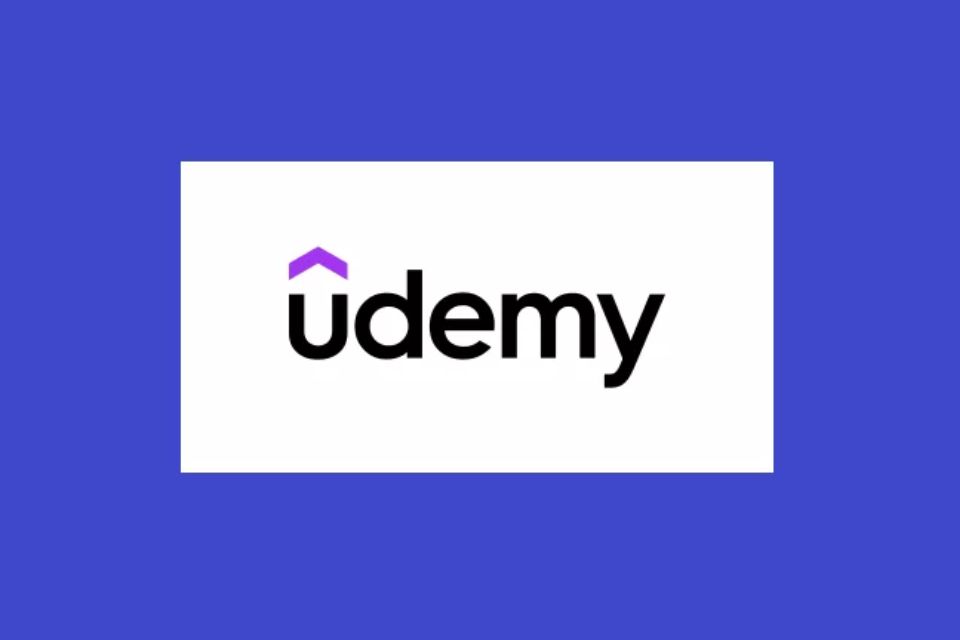 udemy business (ảnh 1)
