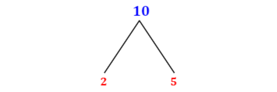 Ước số là gì?