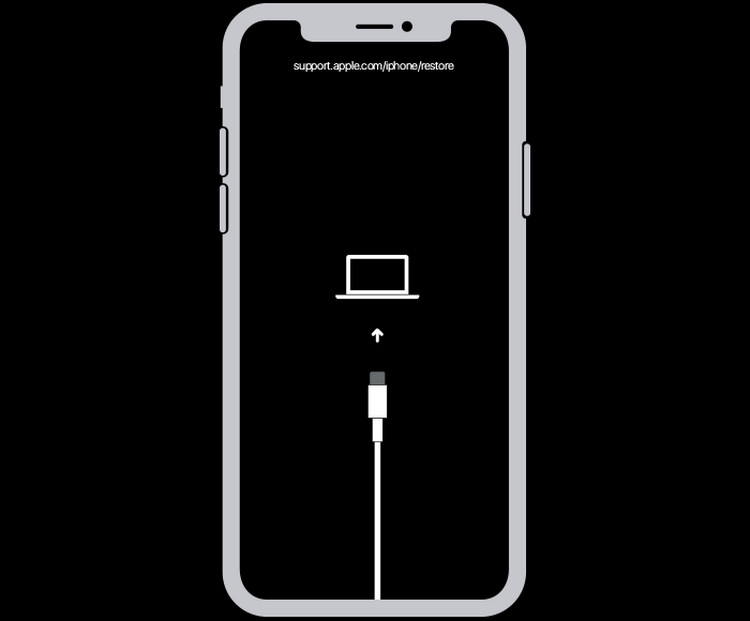 iPhone bị sập nguồn liên tục - ảnh 10