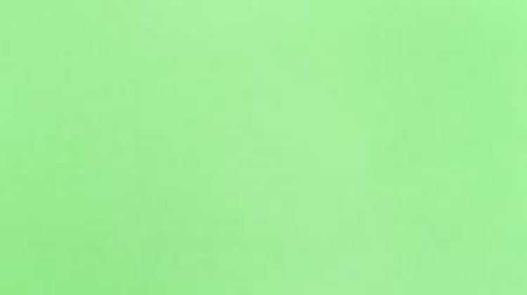 Xanh lá phối với màu gì? (hình 1)