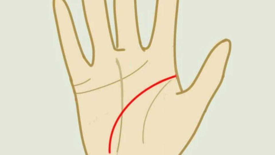 Xem chỉ tay nam 3