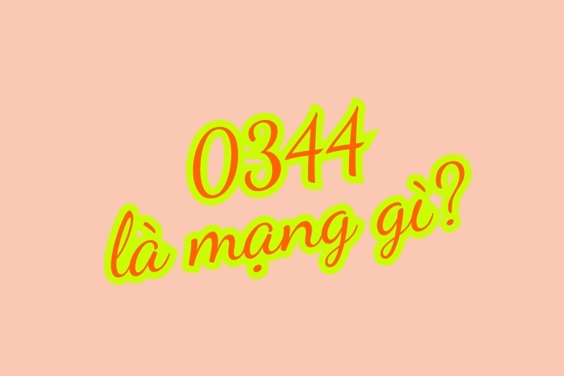 0344 là mạng gì 1