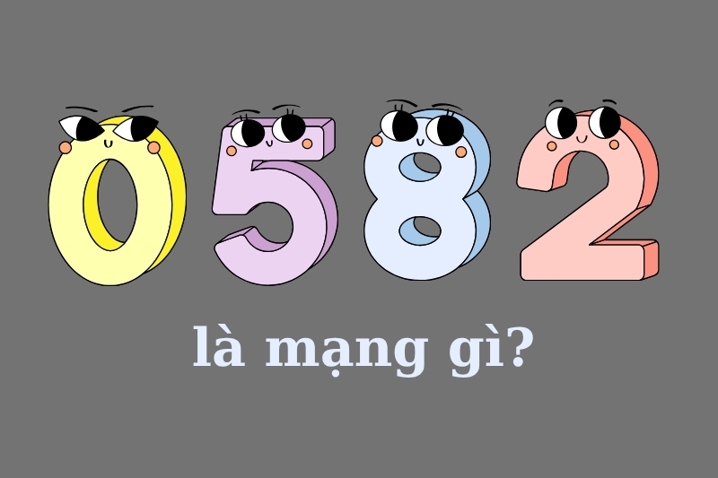 0582 là mạng gì 1