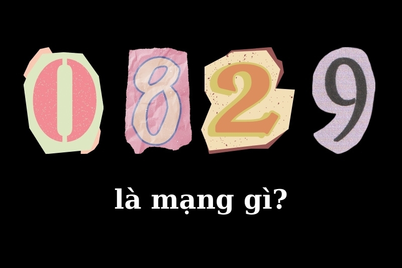 0829 là mạng gì?