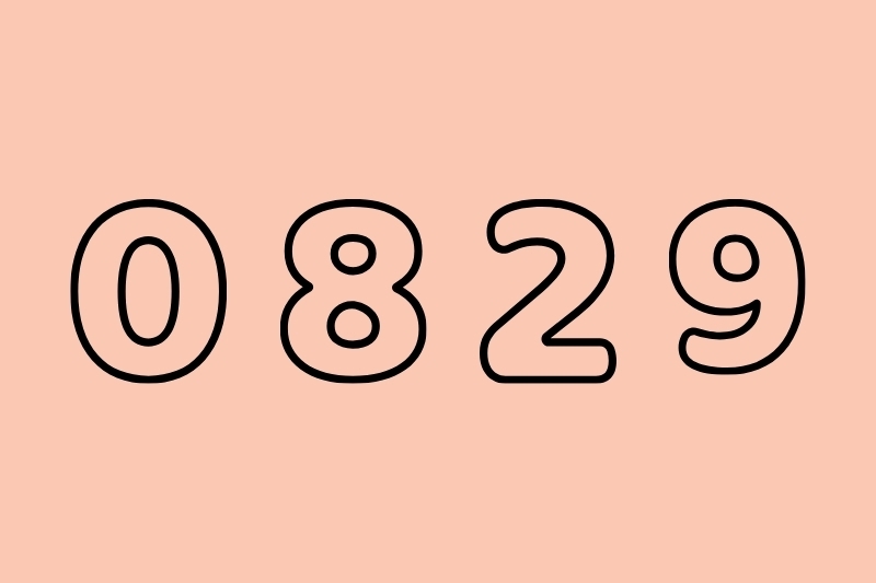 0829 là mạng gì 4