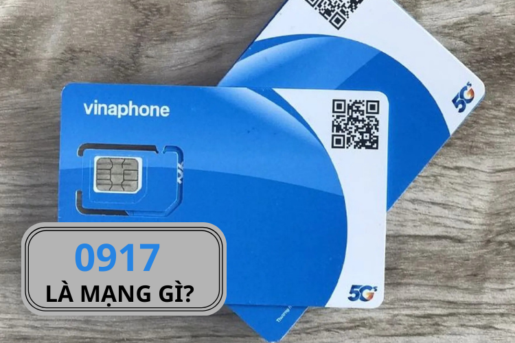 0917 là mạng gì 6
