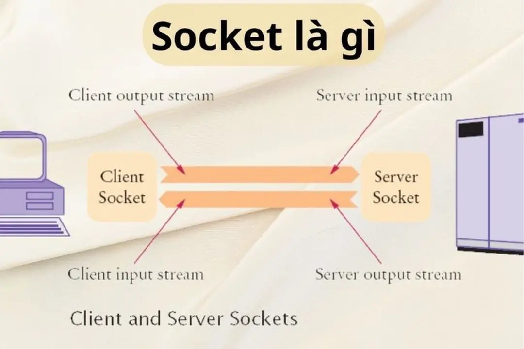 Socket là gì? Những loại Socket được ứng dụng trên thị trường