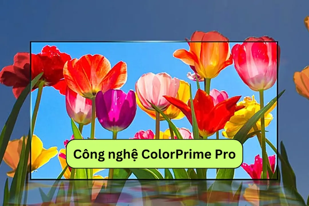 Công nghệ ColorPrime Pro trên tivi: Tái tạo màu sắc chân thực