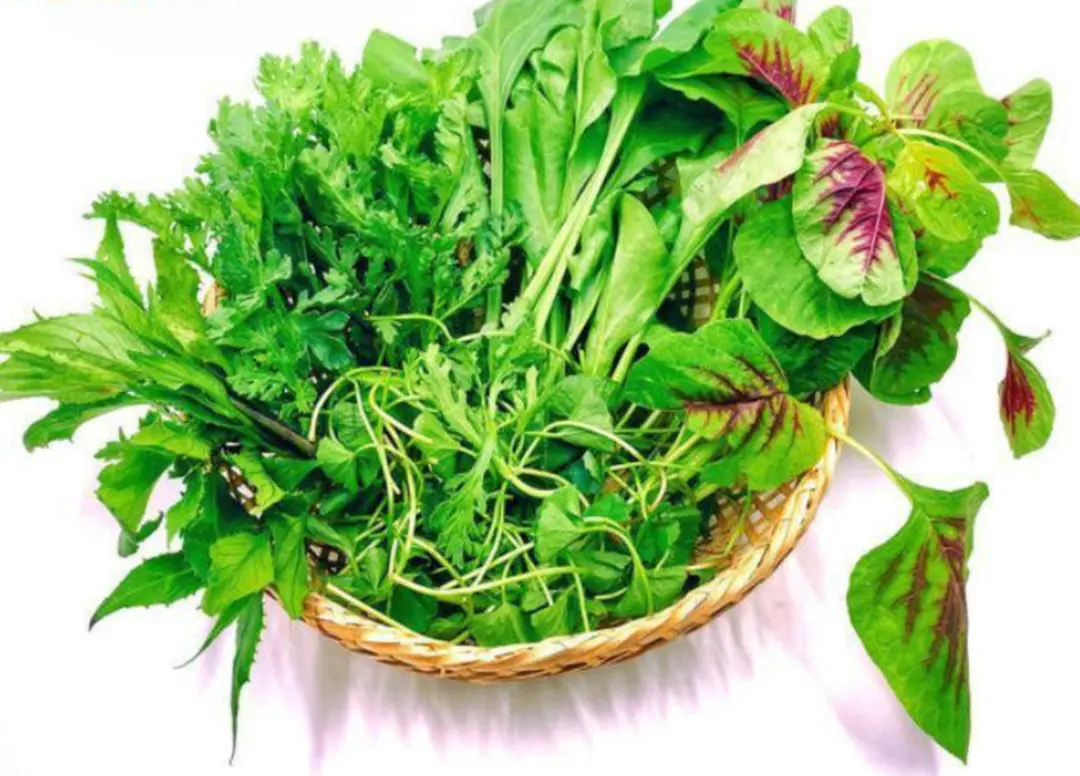Rau tập tàng là rau gì? 3 món ngon bạn nên thử từ rau tập tàng
