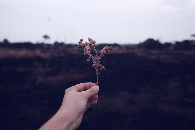 10 câu nói danh ngôn hay nhất 4