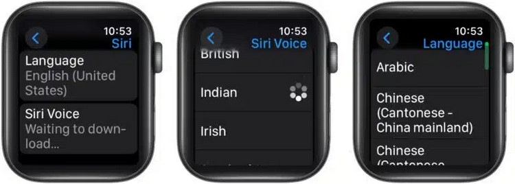 Cách sử dụng Siri trên Apple Watch - ảnh 11