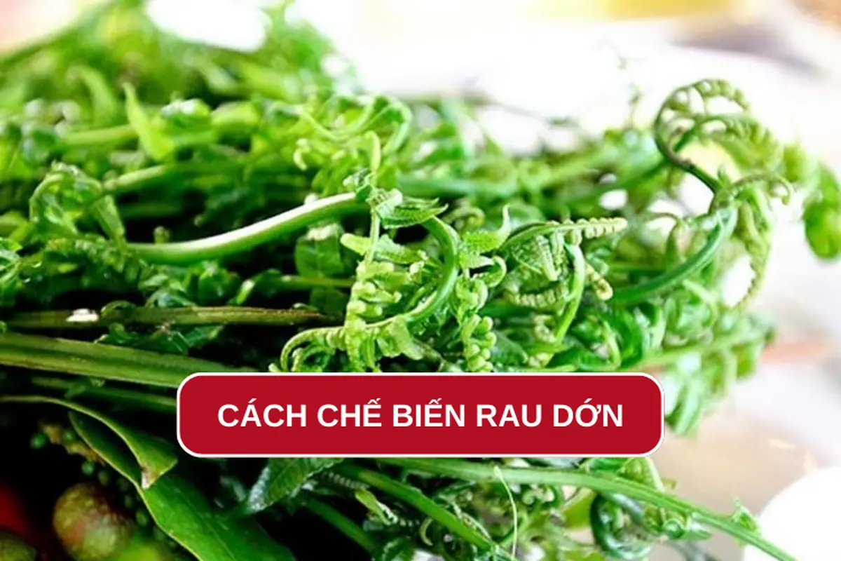 Khám phá 5 cách chế biến rau dớn thơm ngon, bổ dưỡng mời cả nhà
