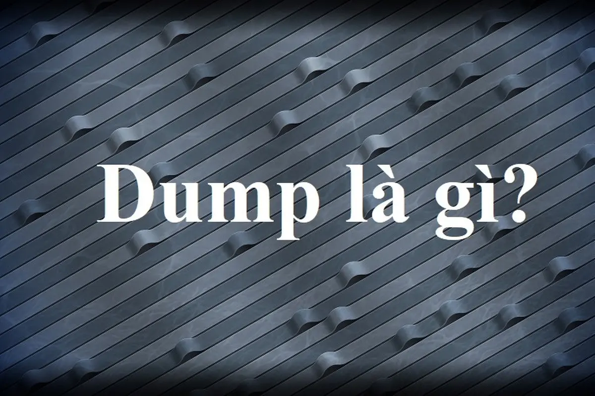 Dump là gì? Giải nghĩa và cách sử dụng từ dump trong các lĩnh vực