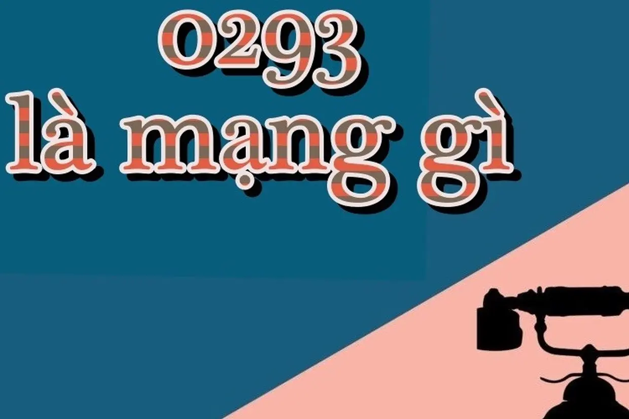 0293 là mạng gì? Ý nghĩa đầu số 0293 tốt hay xấu