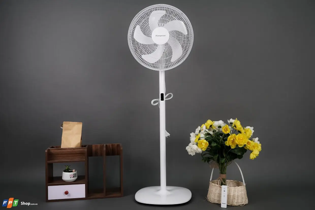 Mua quạt điện, quạt cây, quạt đứng ở đâu uy tín? Lý do chọn FPT Shop