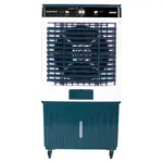 Quạt điều hòa Daikiosan DM103 175W