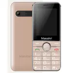 Masstel Izi 300