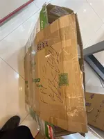 Quạt đứng Kangaroo KG725