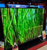 Tivi LG Smart Tivi 4K 55 inch 55UQ7050PSA