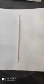 Phụ kiện Apple Bút cảm ứng Apple Pencil 2 MU8F2ZP/A