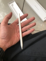 Phụ kiện Apple Bút cảm ứng Apple Pencil 2 MU8F2ZP/A
