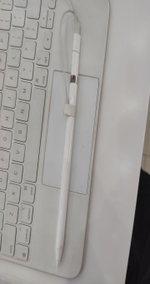 Phụ kiện Apple Bút cảm ứng Apple Pencil 2 MU8F2ZP/A