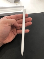 Phụ kiện Apple Bút cảm ứng Apple Pencil 2 MU8F2ZP/A