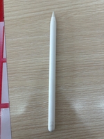 Phụ kiện Apple Bút cảm ứng Apple Pencil 2 MU8F2ZP/A