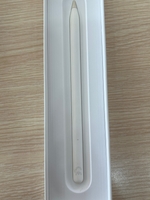 Phụ kiện Apple Bút cảm ứng Apple Pencil 2 MU8F2ZP/A