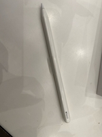 Phụ kiện Apple Bút cảm ứng Apple Pencil 2 MU8F2ZP/A