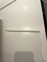 Phụ kiện Apple Bút cảm ứng Apple Pencil 2 MU8F2ZP/A