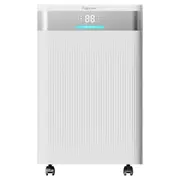 Máy hút ẩm 20 lít Fujihome DH20NW