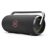 Loa Bluetooth ALPHA WORKS AW-IKON20