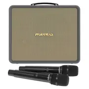 Loa karaoke xách tay Paramax Karat