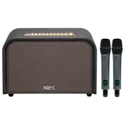 Loa karaoke xách tay Soncamedia Acoustic 3 Compact