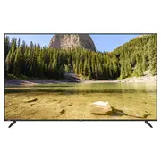 VSP Google TV  55 inch 4K VUE55GSU01