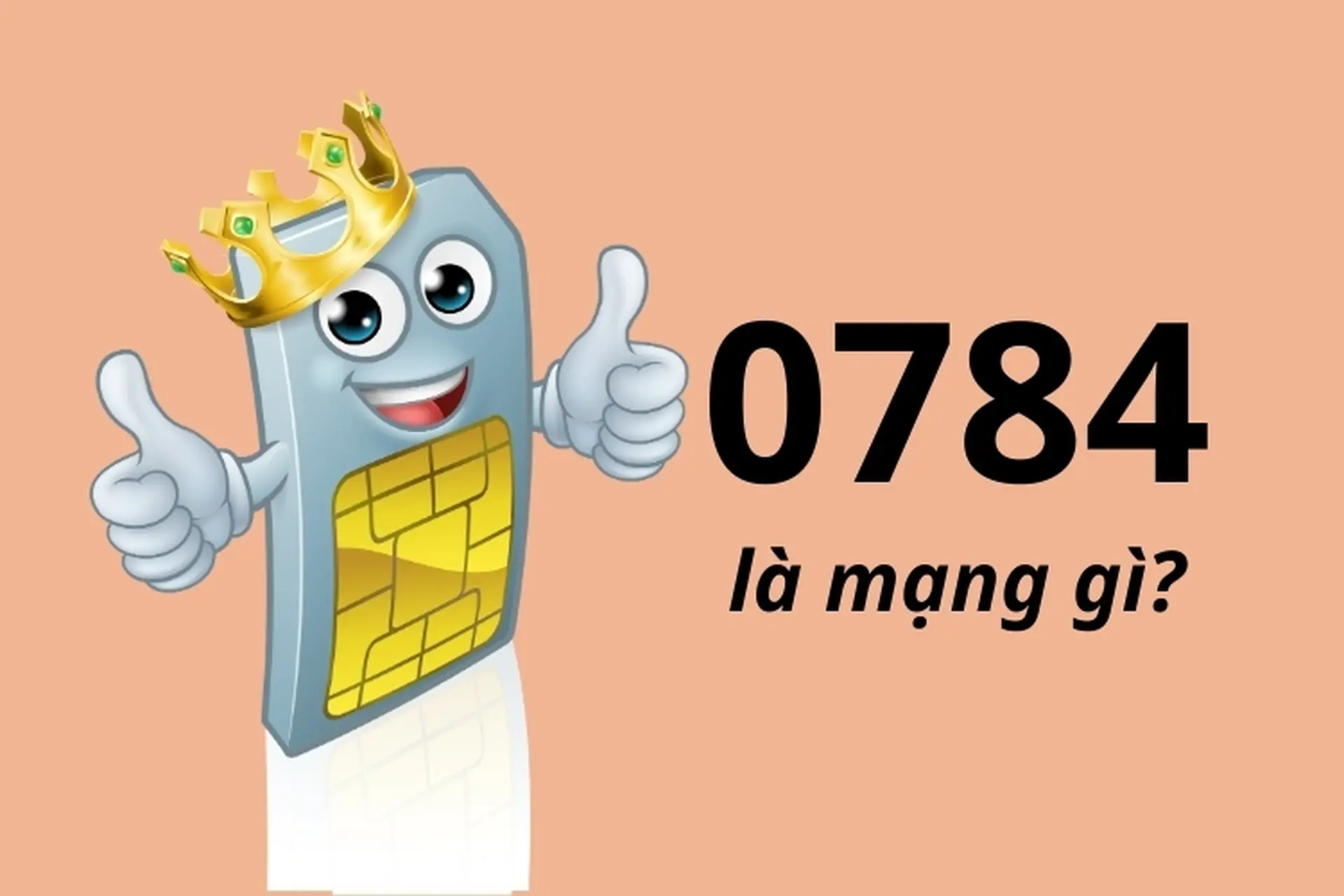 0784 là mạng gì? Tất tần tật thông tin về đầu số 0784 và những điều bạn cần biết ngay