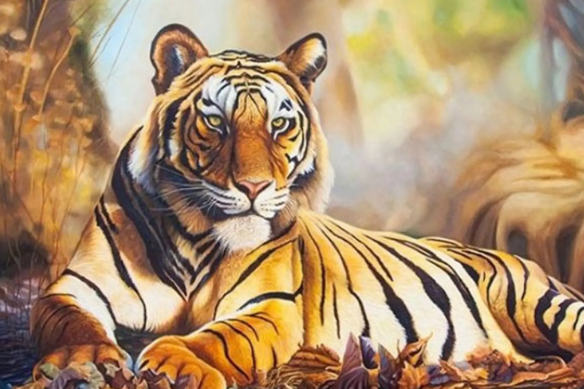 Sinh năm 1962 tuổi gì? Mệnh gì? Hợp màu, hướng và tuổi nào trong phong thủy?