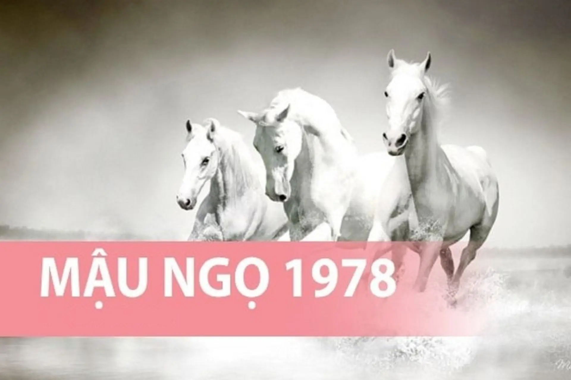 1978 mệnh gì? Bật mí bản mệnh, màu sắc, hướng hợp giúp tuổi Mậu Ngọ phát tài phát lộc