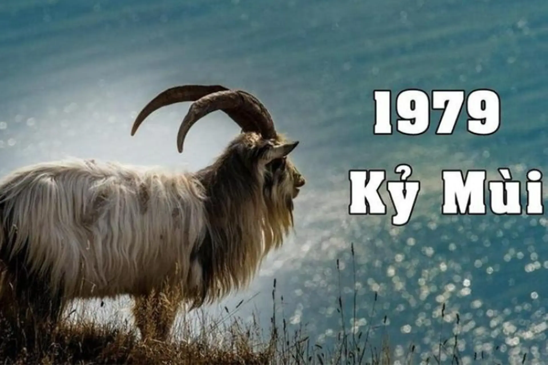 Sinh năm 1979 mệnh gì? Tìm hiểu mệnh, ngũ hành, tuổi hợp và màu sắc may mắn