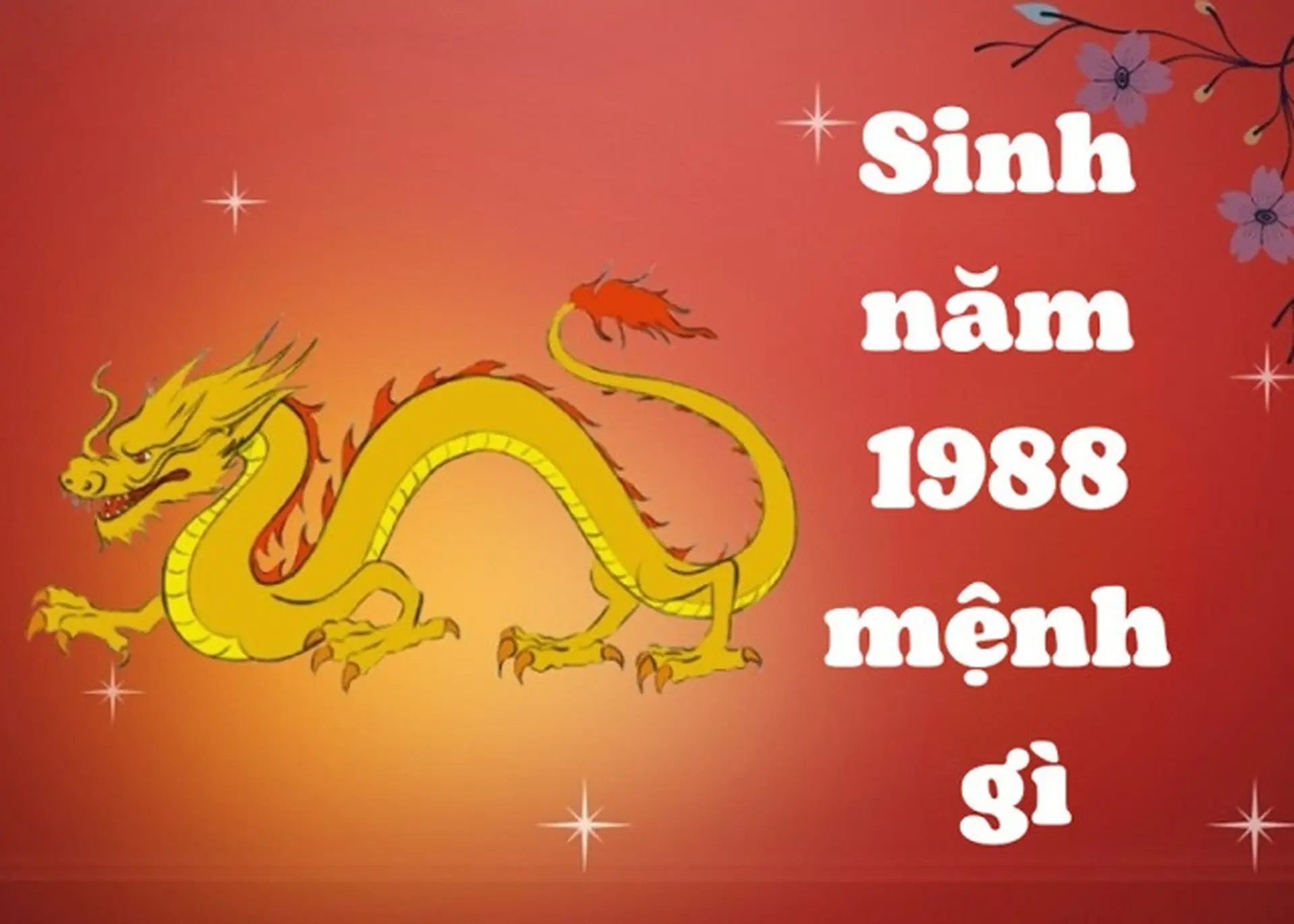 Sinh năm 1988 mệnh gì? Tuổi con gì? Hợp với tuổi nào? Tính cách của người tuổi Thìn 1988