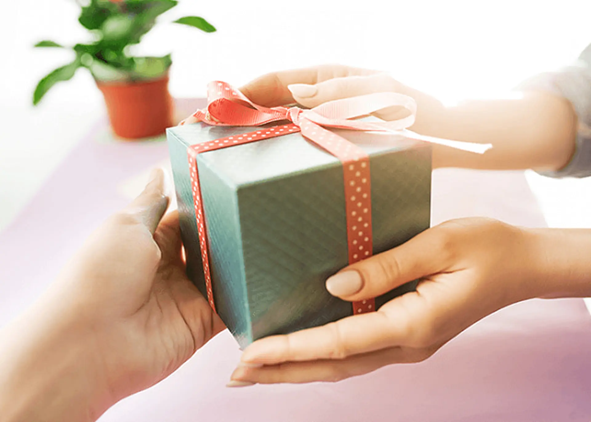 19/11 nên tặng gì cho bạn trai? 15 món quà dành tặng bạn trai thiết thực và ý nghĩa nhất