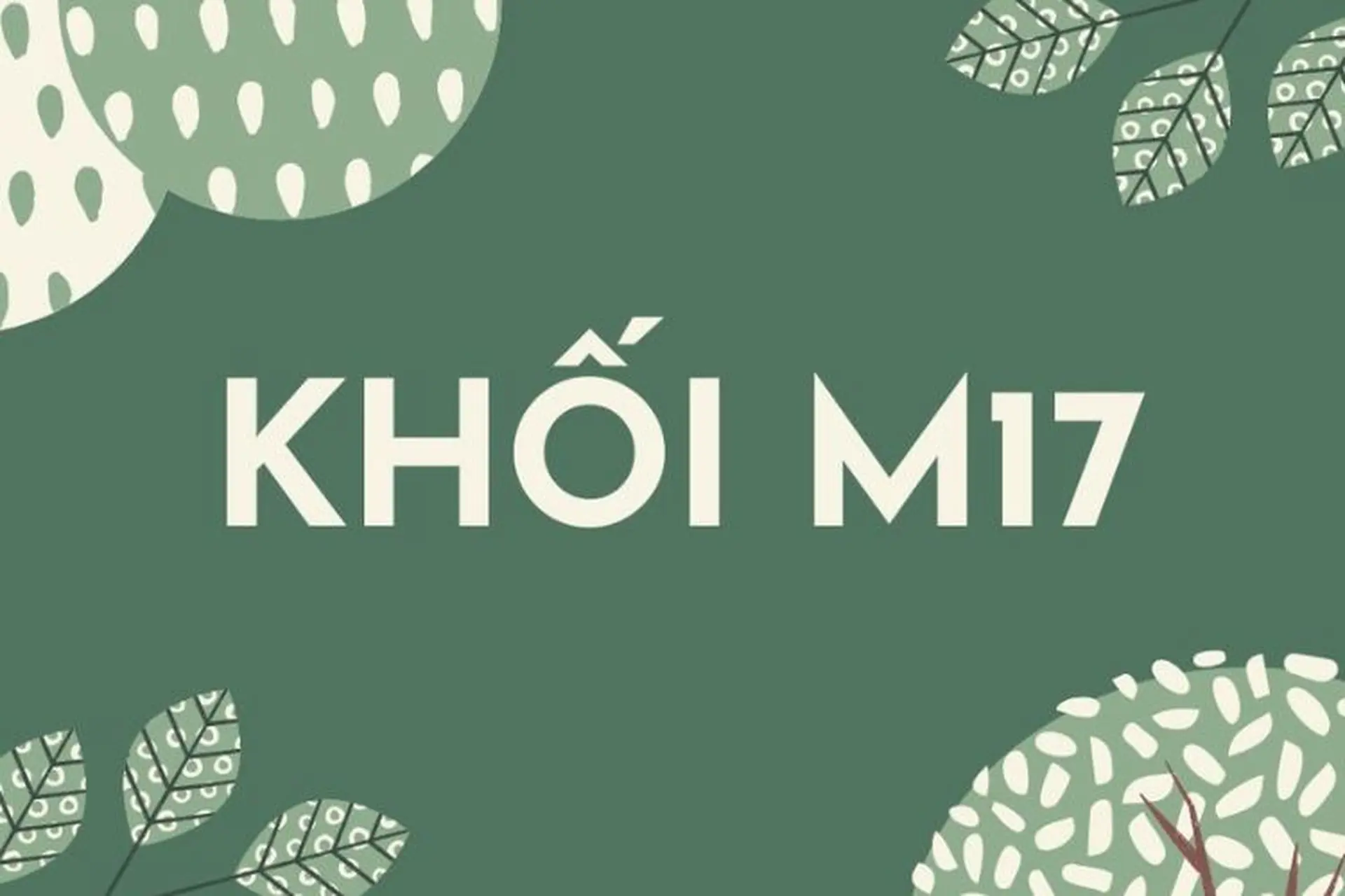 Góc giải đáp: M17 gồm những môn nào, ngành nào và định hướng nghề nghiệp phù hợp trong tương lai